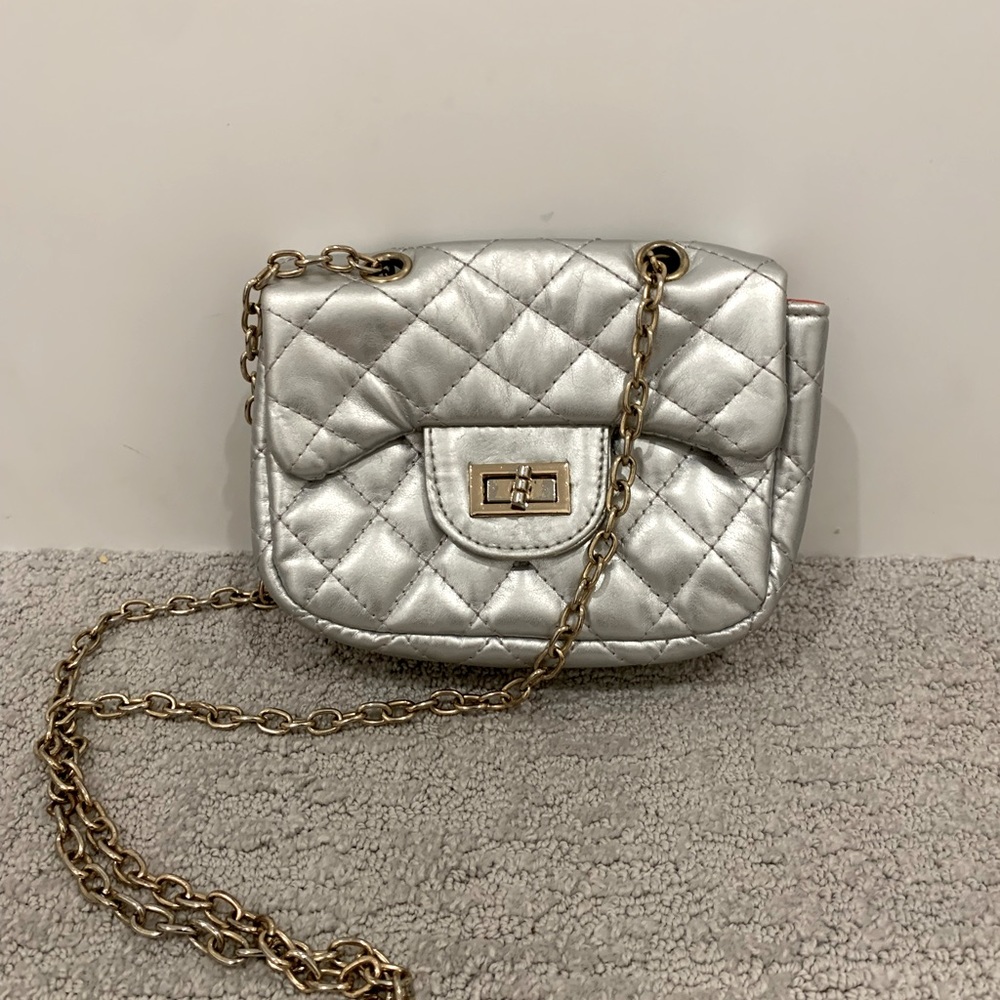 Silver bag